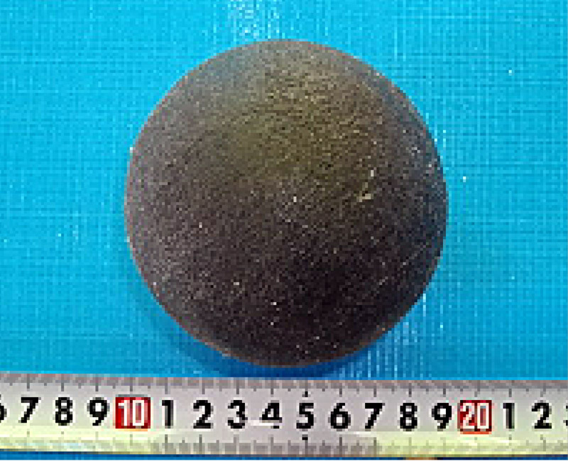 ライニングピグ